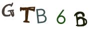 Beeld-CAPTCHA