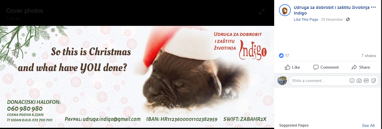 Fotografija prikazuje psa s božiićnom kapicom, a iznad njega piše "So this is Christma and what have YOU done?"