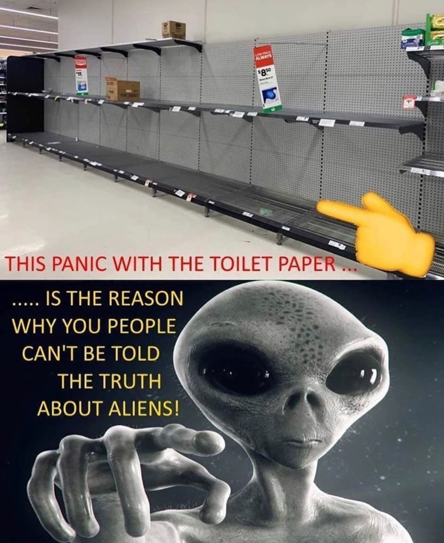 We're good at panicking 