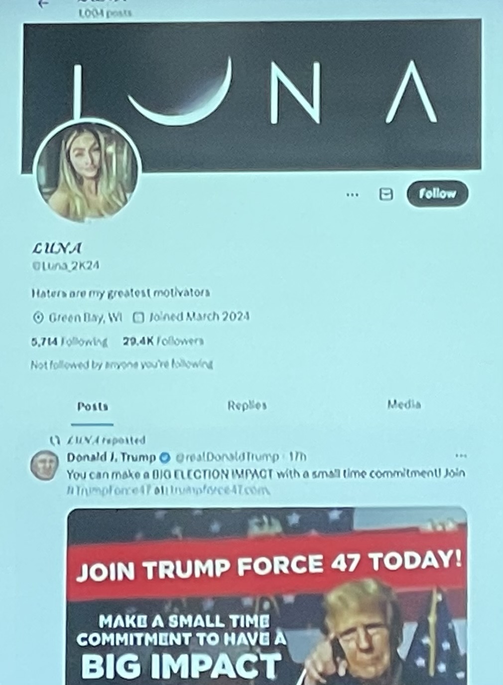 Fake pro-Trump accounts 