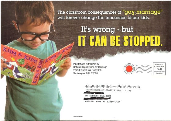 Anti Same-Sex Marriage Mailer