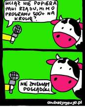 Wywiad z krową na temat projektu 500 +