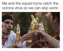 Corona Virus