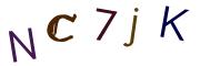 Obrázkové CAPTCHA