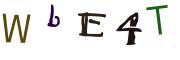 Obrázkové CAPTCHA