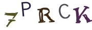 Obrázkové CAPTCHA