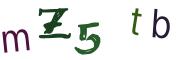Obrázkové CAPTCHA