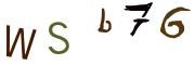 Obrázkové CAPTCHA