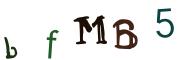 Obrázkové CAPTCHA