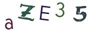 Obrázkové CAPTCHA