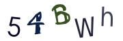 Obrázkové CAPTCHA