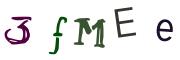 Obrázkové CAPTCHA