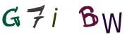 Obrázkové CAPTCHA