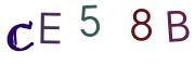 Beeld-CAPTCHA