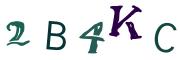 Beeld-CAPTCHA