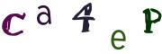 Beeld-CAPTCHA