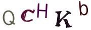 Beeld-CAPTCHA
