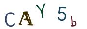 Beeld-CAPTCHA