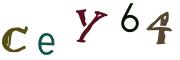 Beeld-CAPTCHA