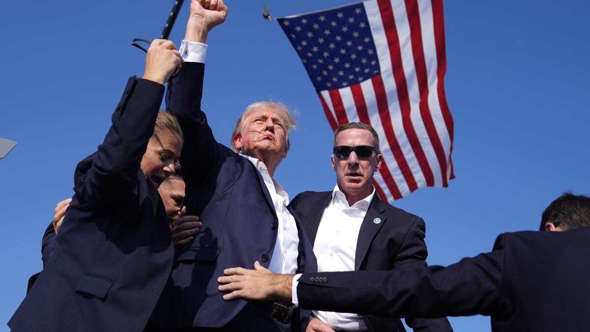 Trump Raising Fist After Assassination Attempt